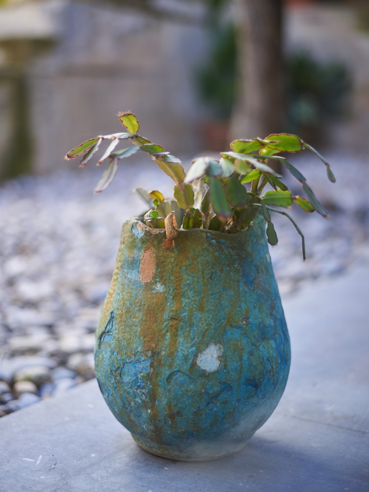 Detalle de planta y tiesto de cerámica en el patio de El Bosque Lácteo, casa rural en Castellet i la Gornal.